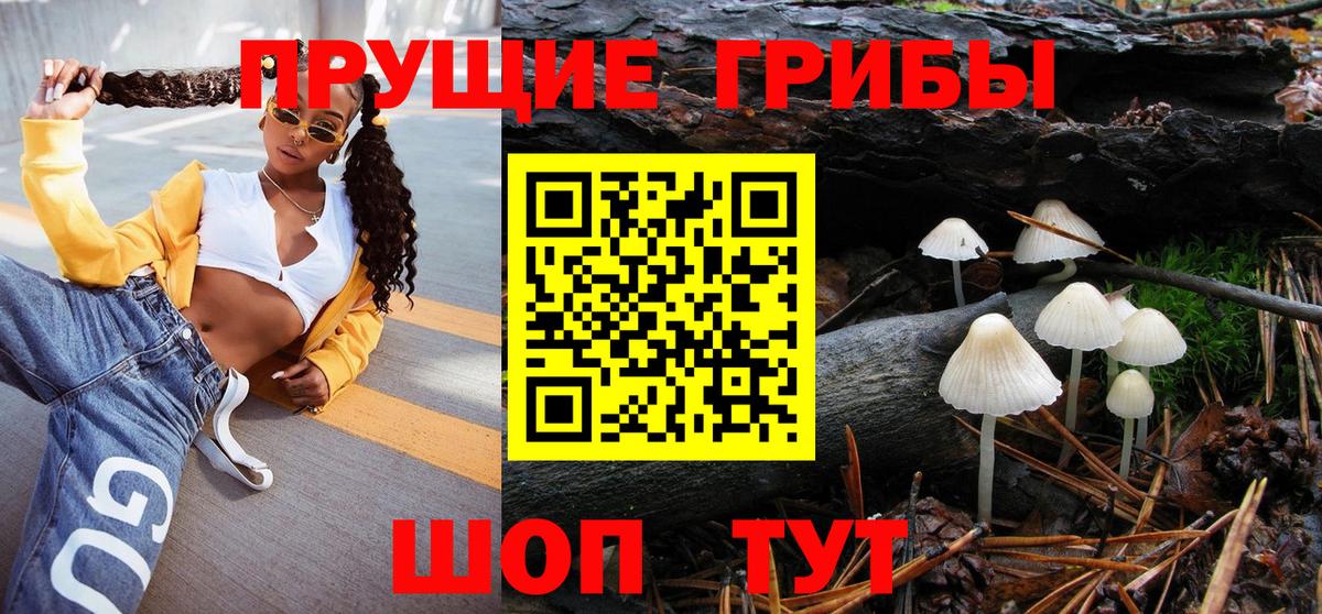 Псилоцибиновые грибы прущие грибы Урус-Мартан