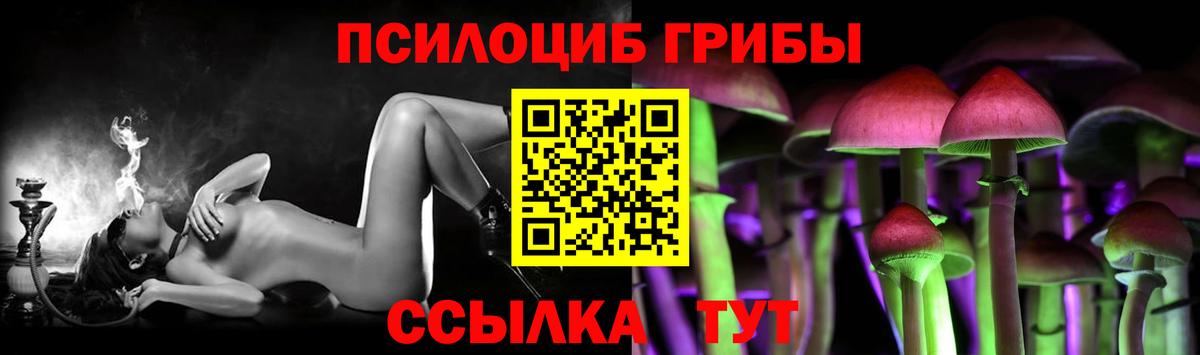 Псилоцибиновые грибы Psilocybine cubensis  Псилоцибиновые грибы ЛСД  Урус-Мартан  Вход с VPN 